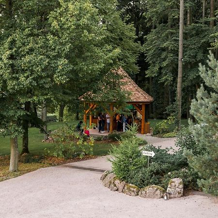 Maison D'Hotes Les Jardins De Madeleine Bernardvillé 외부 사진