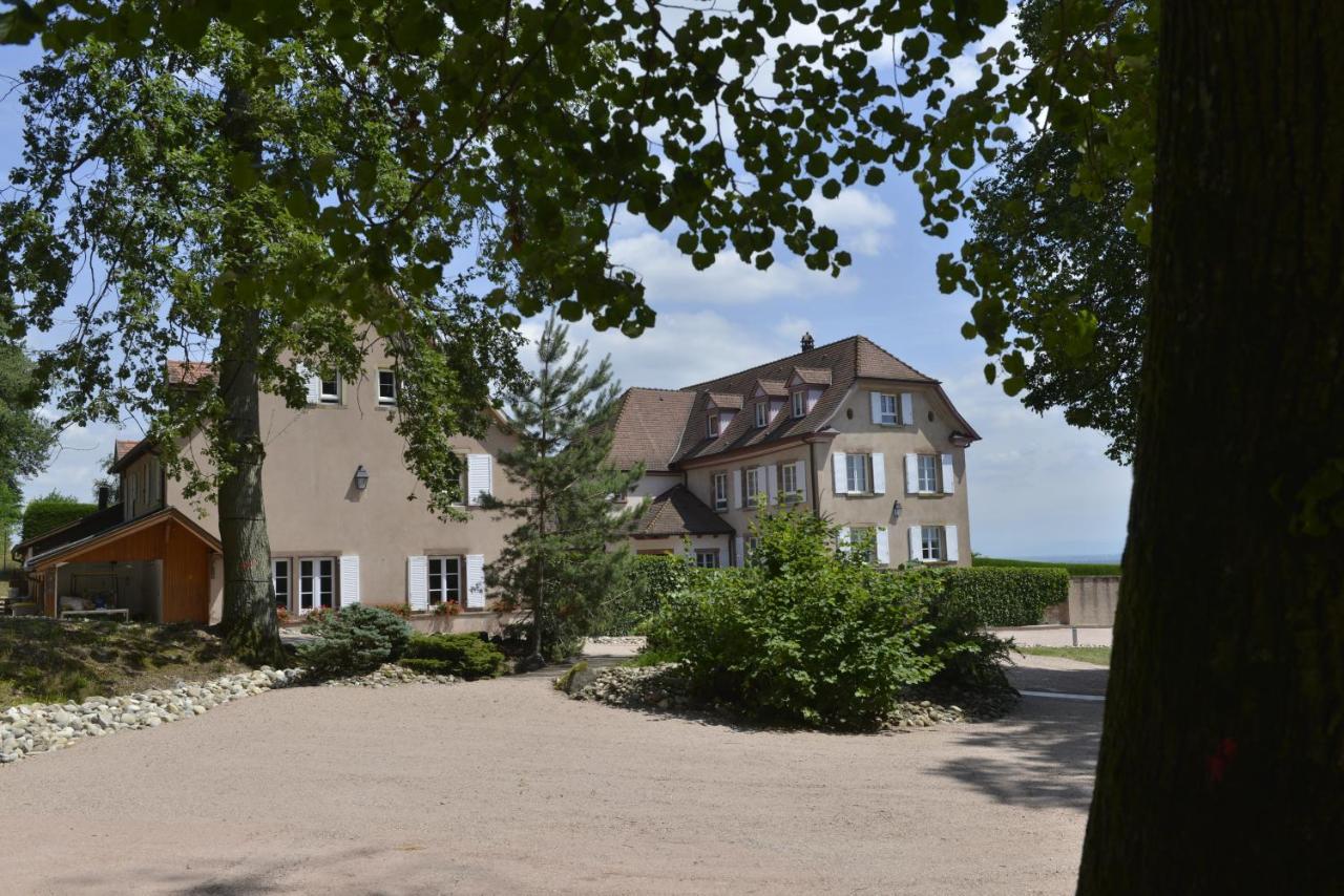 Maison D'Hotes Les Jardins De Madeleine Bernardvillé 외부 사진